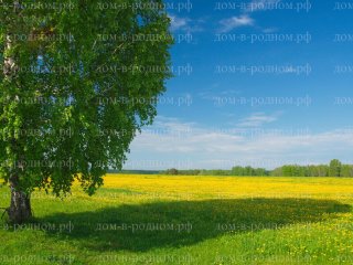 по дороге к Родному