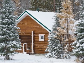 Красивые и экологичные