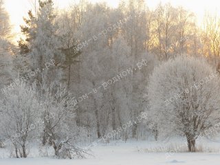 Поляна, чтобы поставить строение