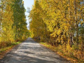 50 минут от МЕГИ - и вы в Родном