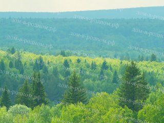 Потрясающий вид с участка